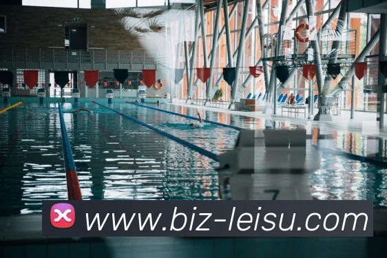 leisu服务体系
